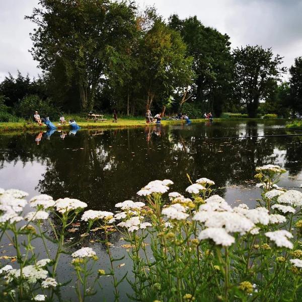 Le Bonheur Tout Simplement